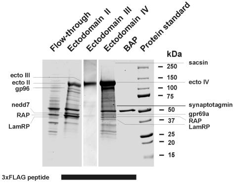 FIG. 10.