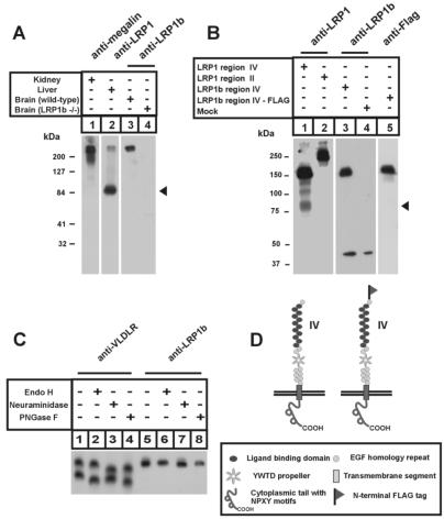 FIG. 7.