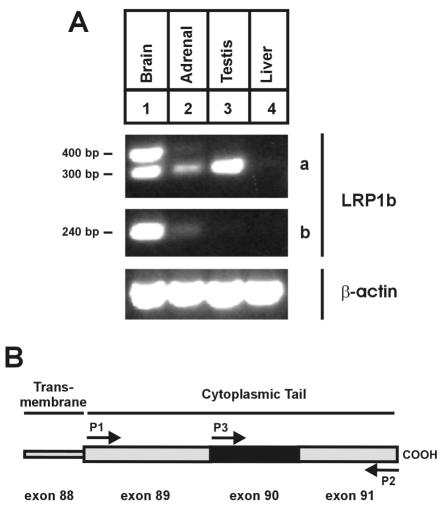 FIG. 6.