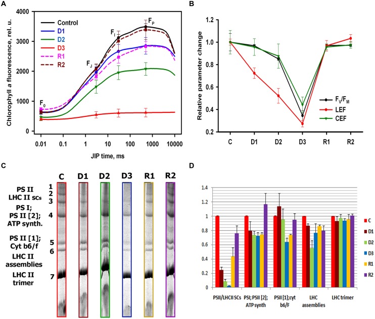 FIGURE 2