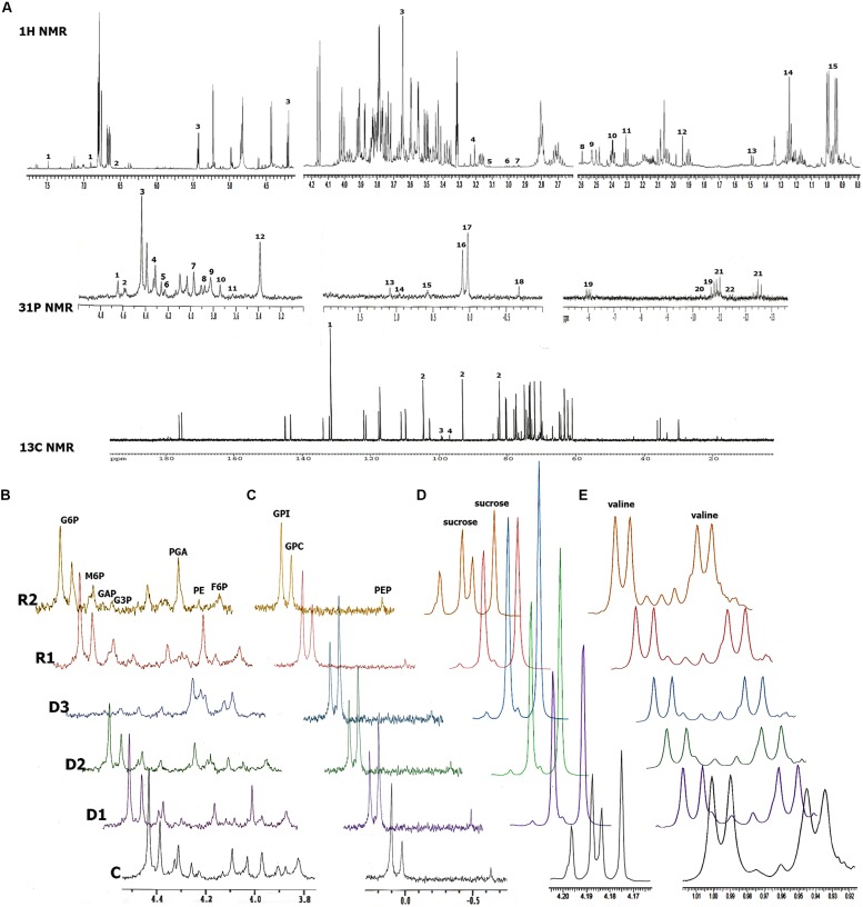 FIGURE 3