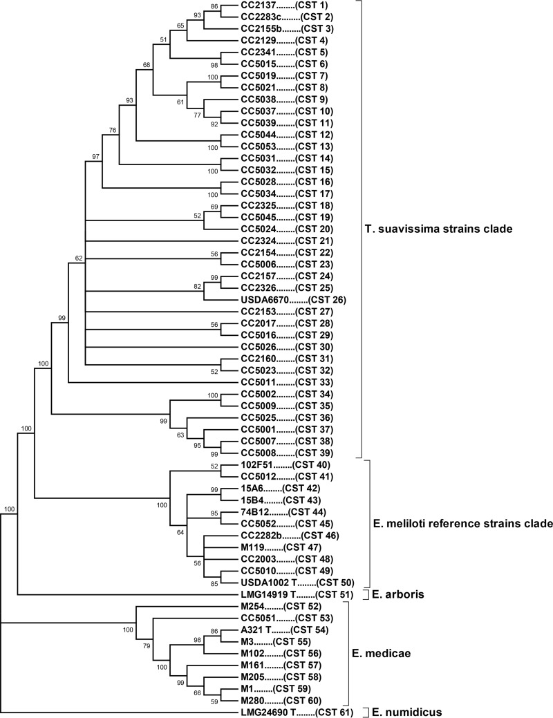 FIG 1