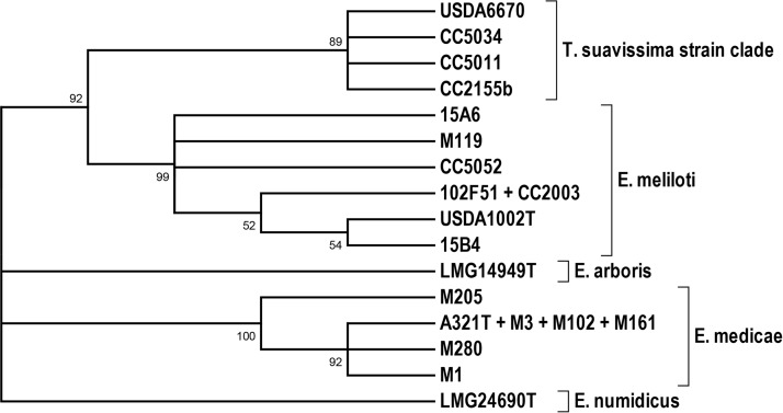 FIG 2