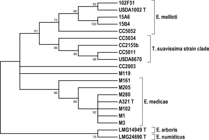 FIG 3