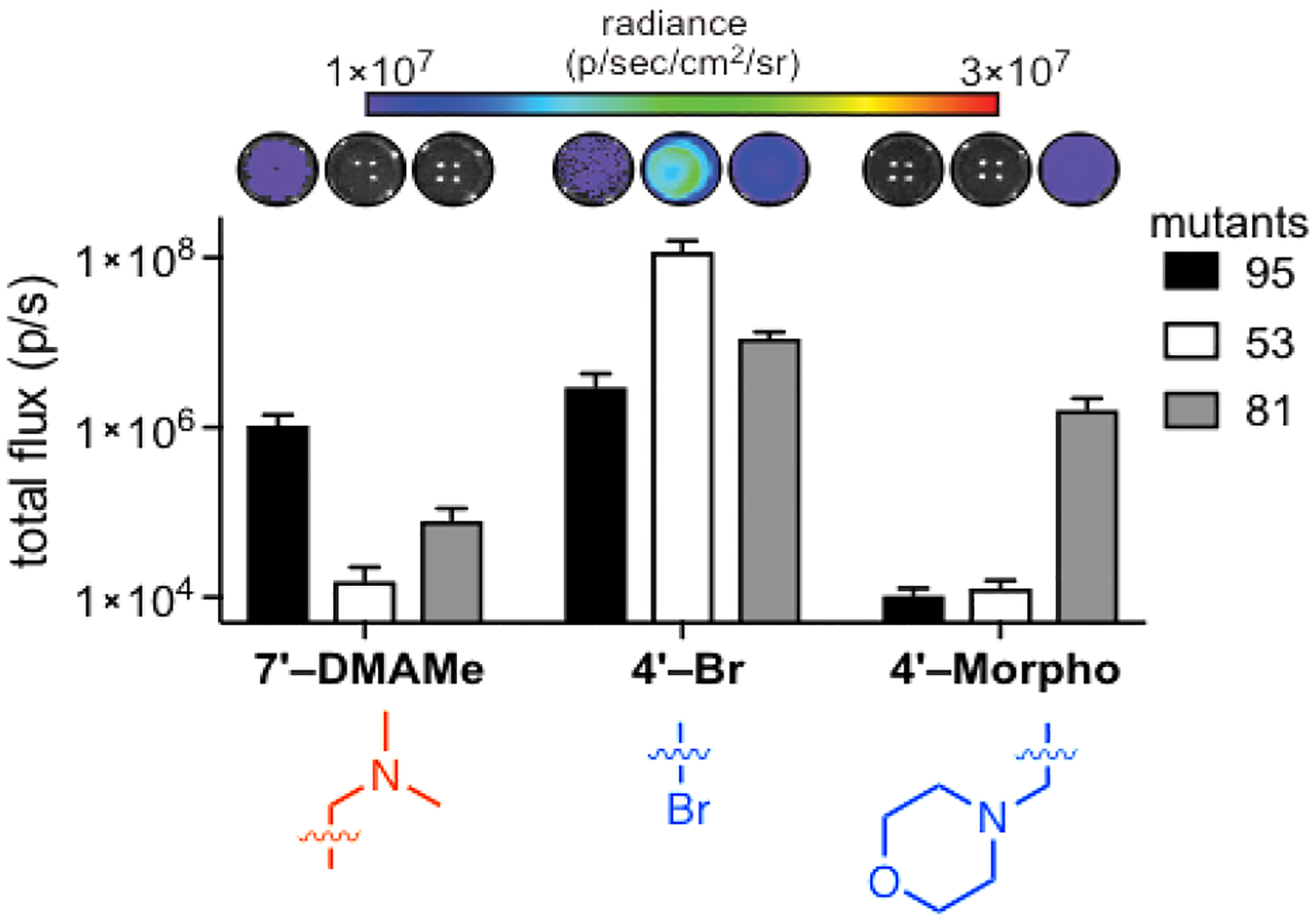 Figure 10.