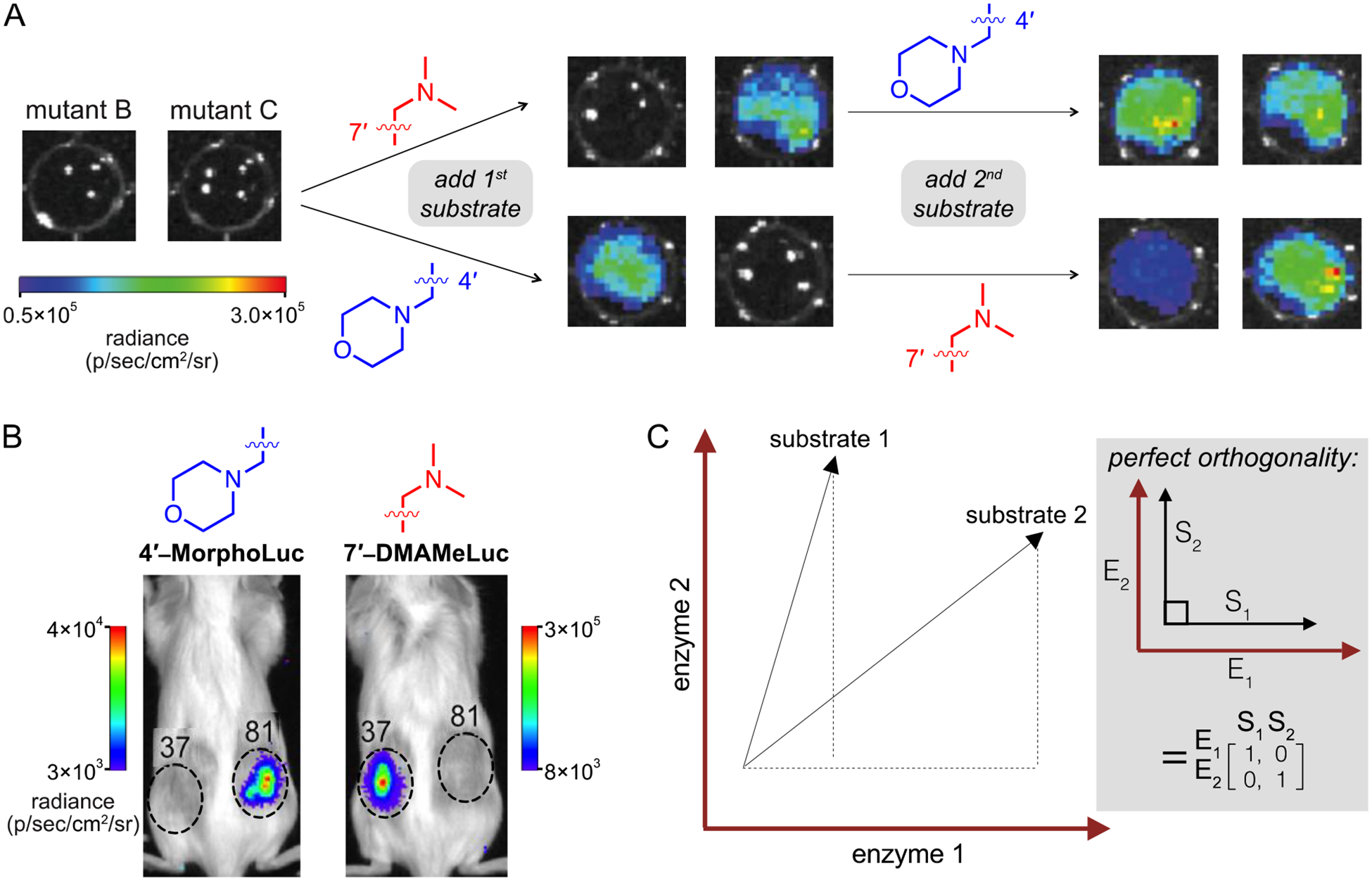 Figure 9.