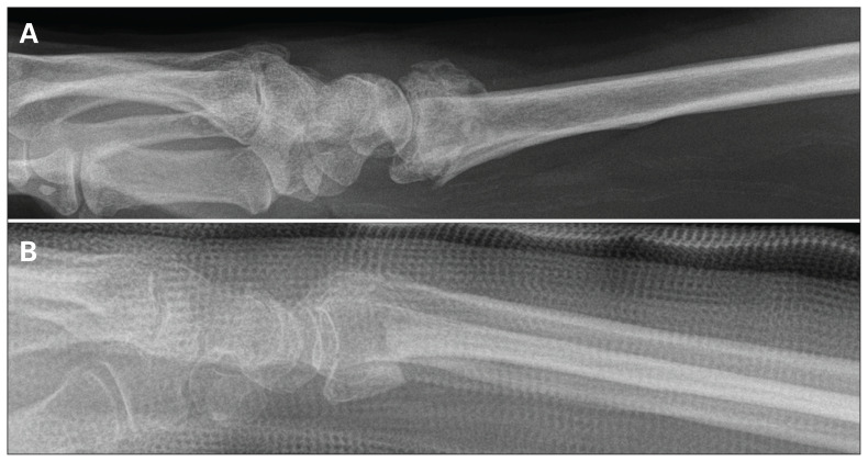 Fig. 7