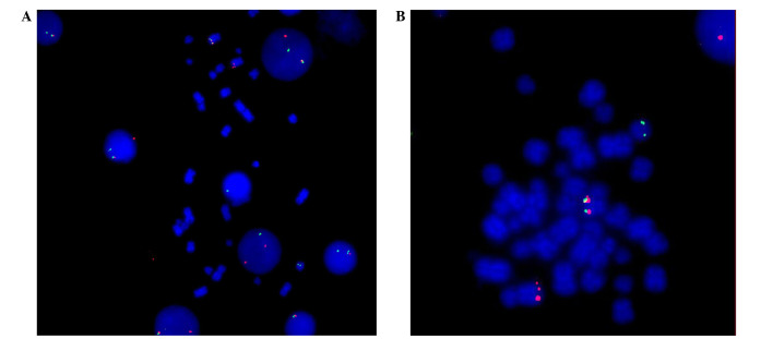 Figure 2.