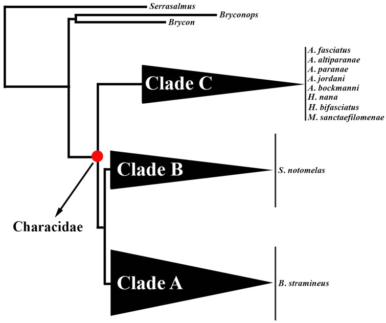 FIGURE 1