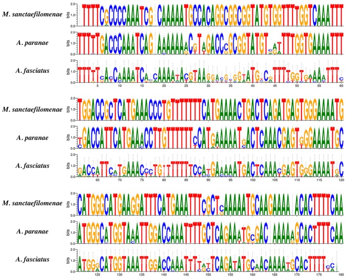 FIGURE 3