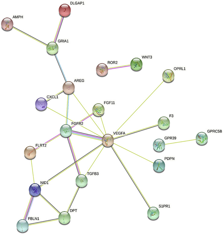 FIGURE 4