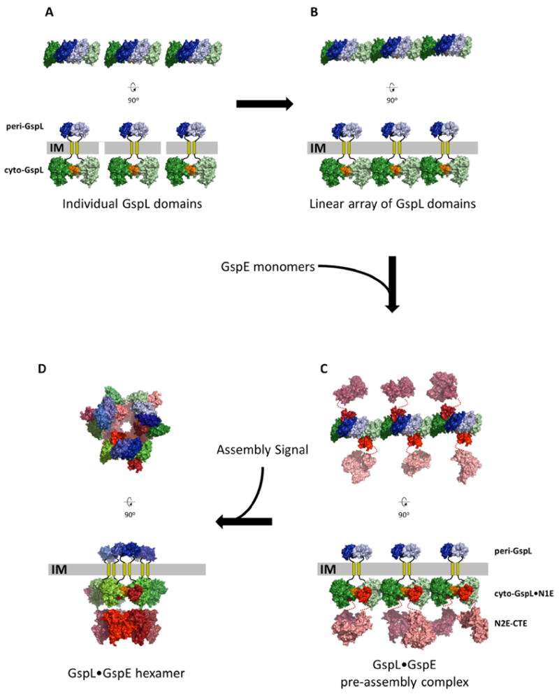 Fig. 6