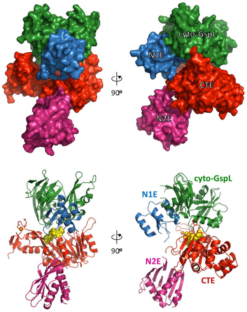 Fig. 1