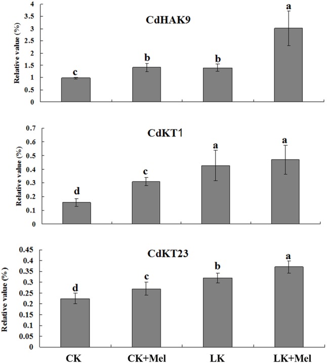 FIGURE 4