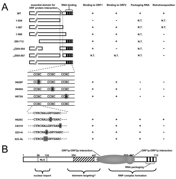 FIG. 8.