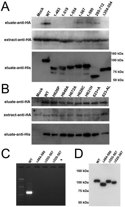 FIG. 5.