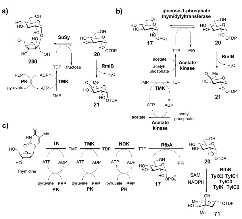 Scheme 9