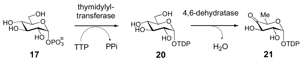 Scheme 2