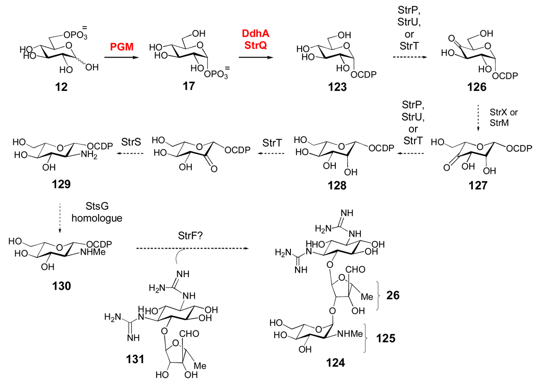 Scheme 6