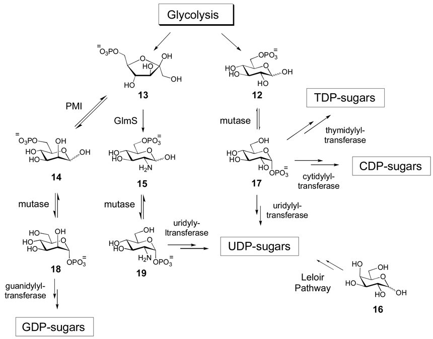 Scheme 1