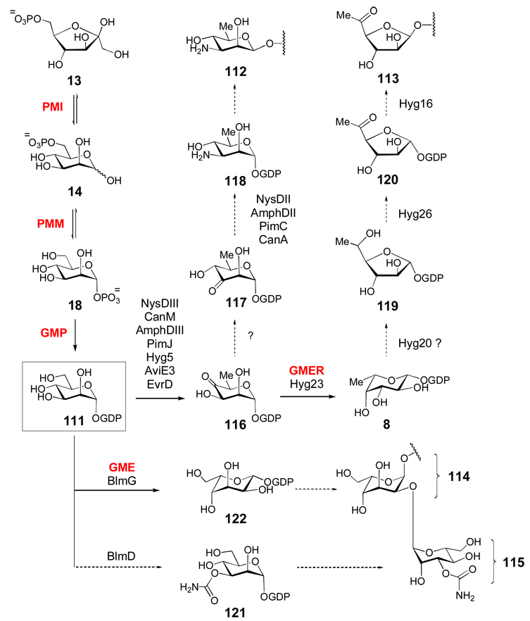 Scheme 5