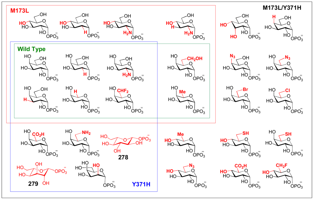 Figure 12