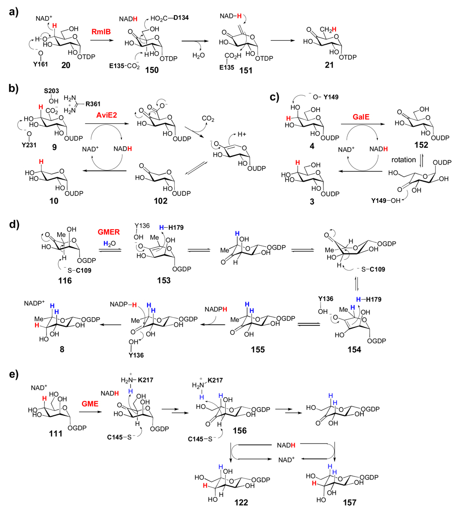 Scheme 8