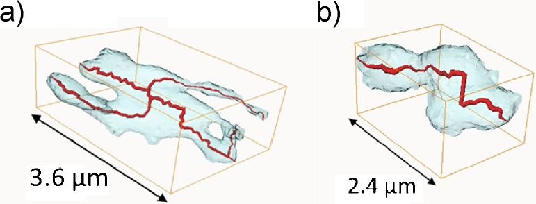 Fig. 10