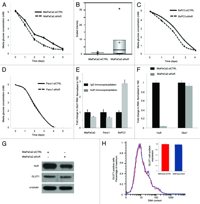 graphic file with name rna-10-1312-g4.jpg