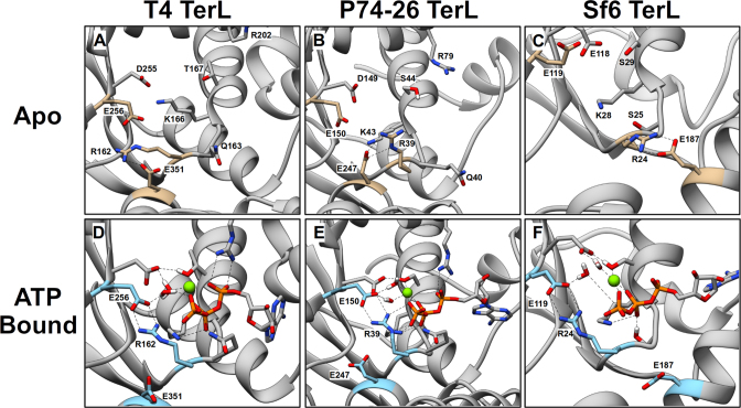 Figure 5.