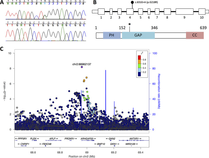 FIGURE 4