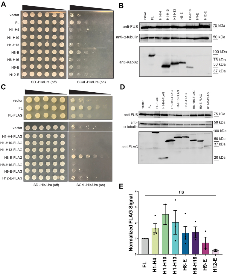 Figure 2