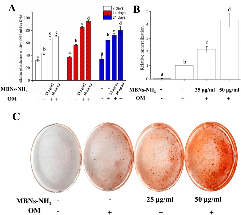 Fig 6