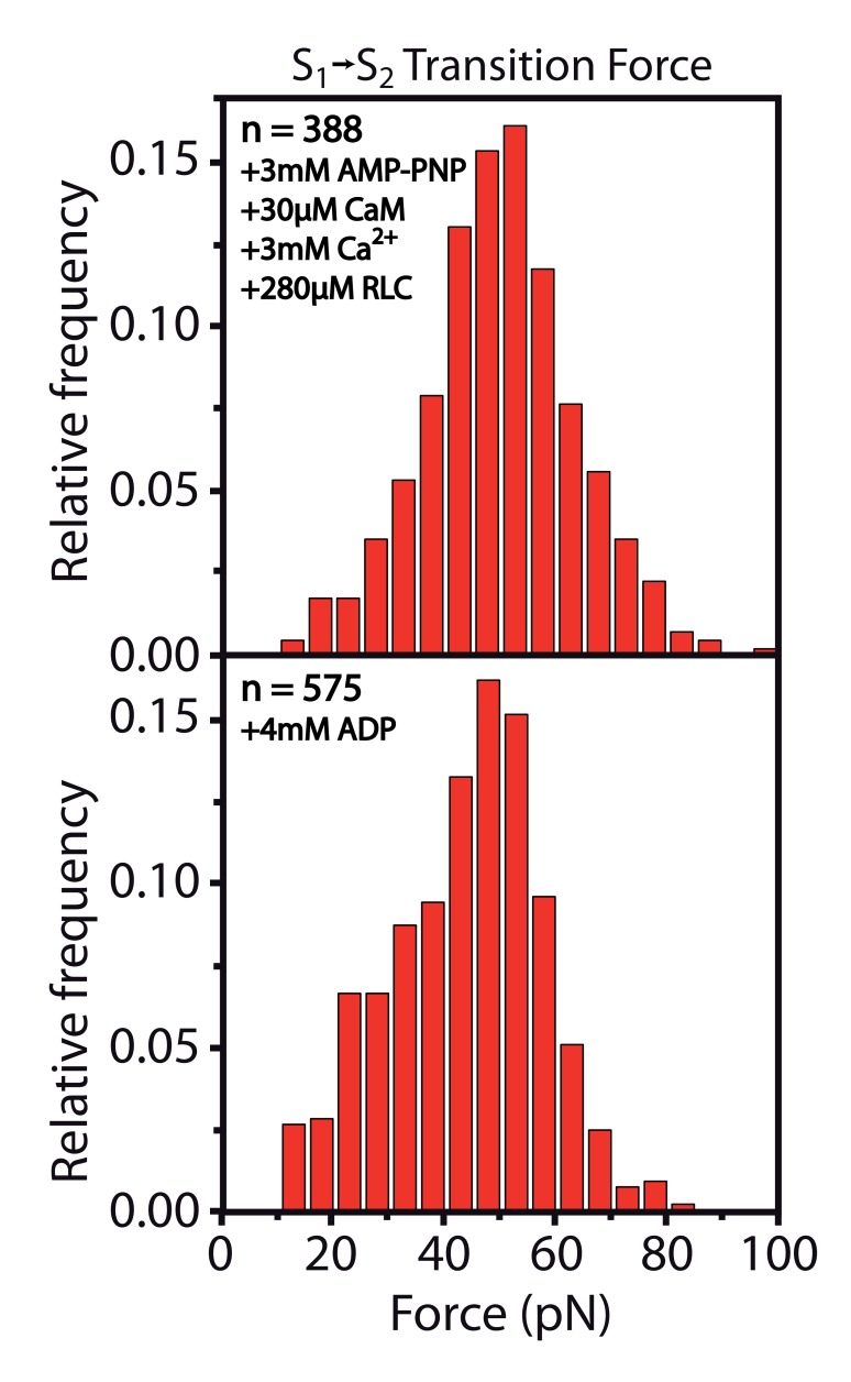 Figure 2—figure supplement 2.