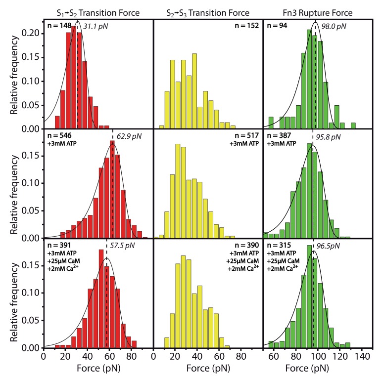 Figure 2—figure supplement 1.