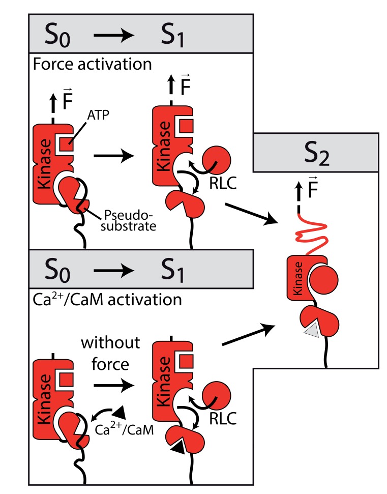 Figure 5.