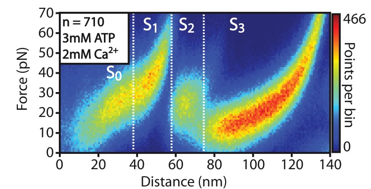 Figure 3—figure supplement 1.