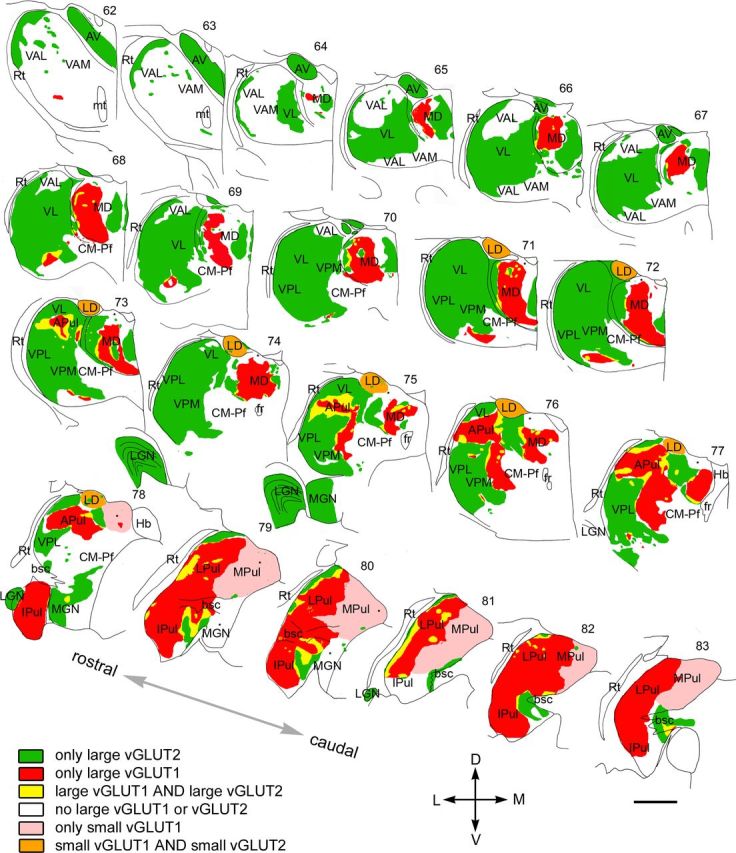 Figure 9.