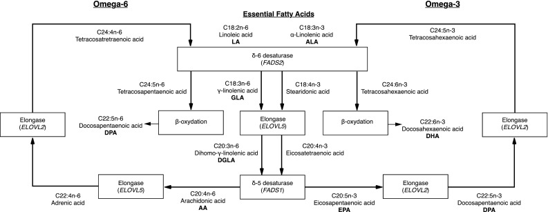 Fig. 1