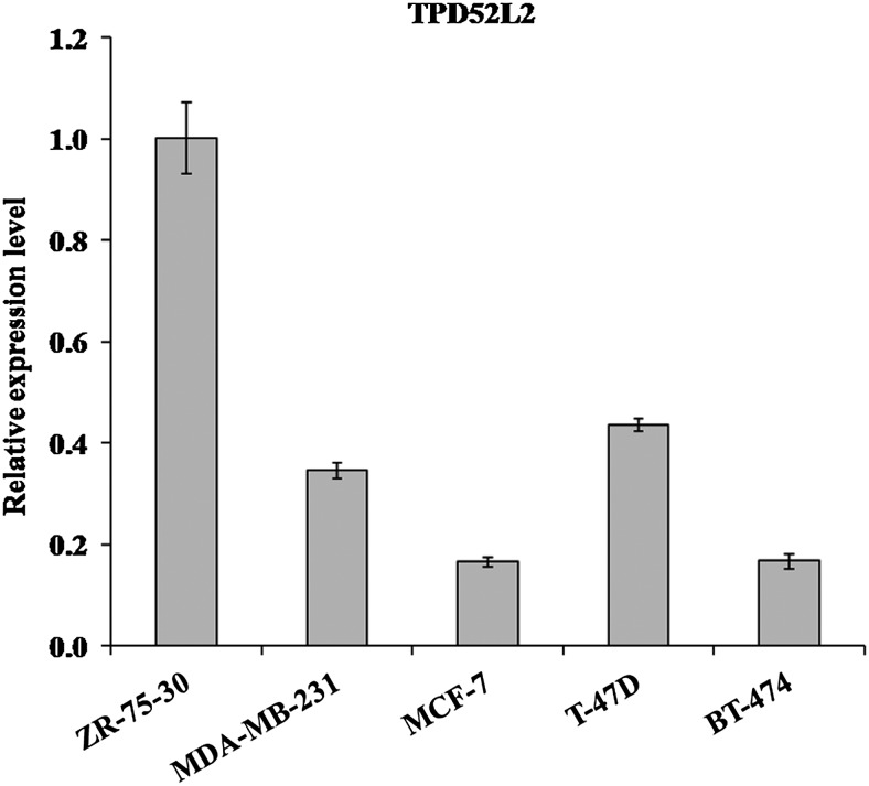 FIG. 1.