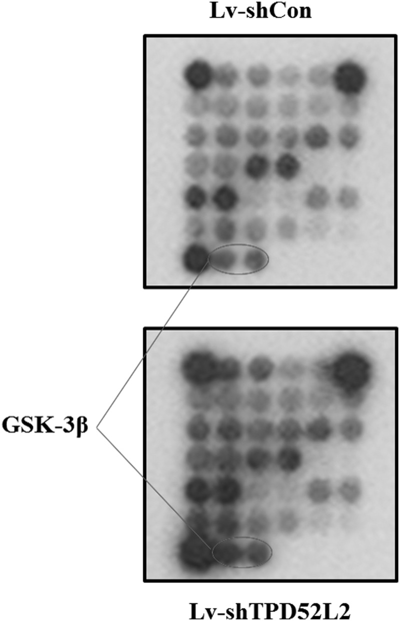 FIG. 5.