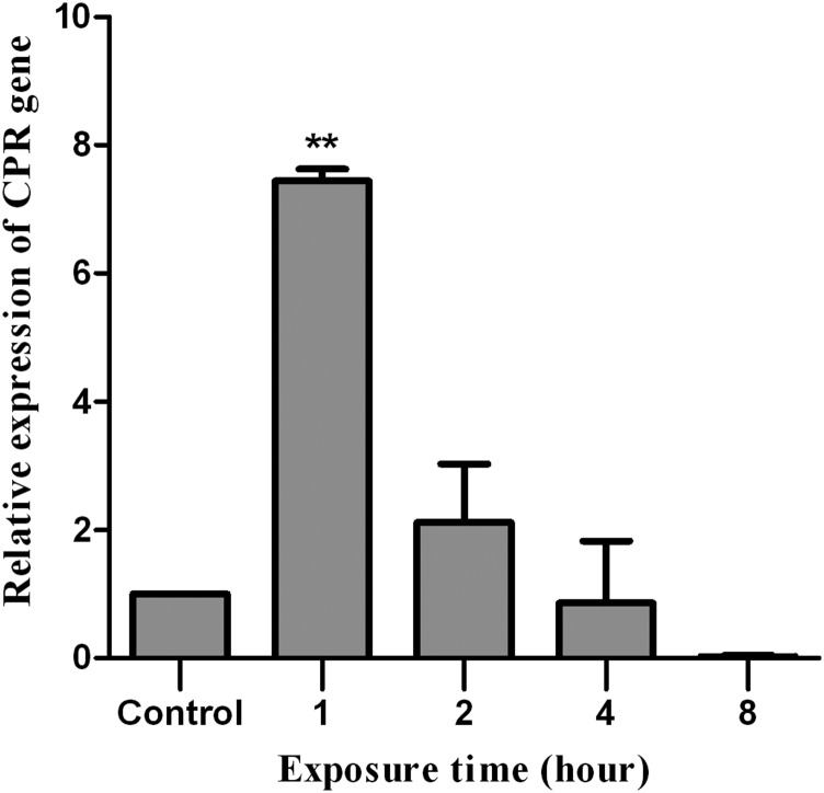 Figure 5.