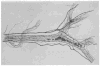 Figure 24