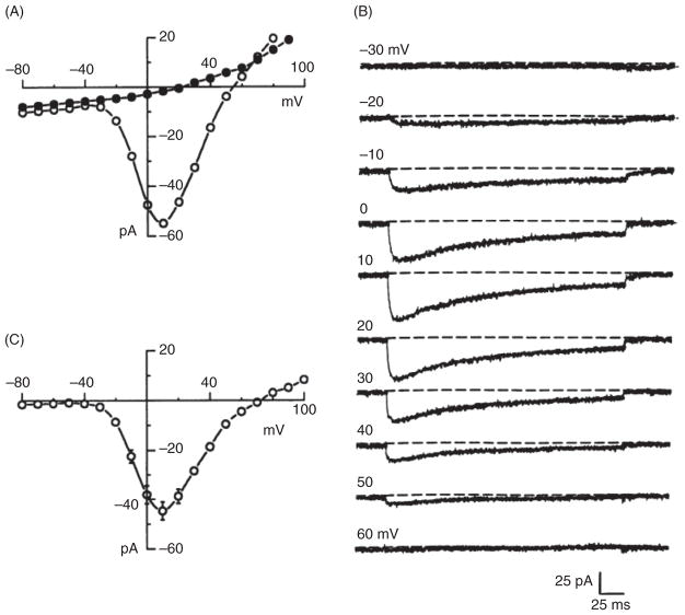 Figure 30