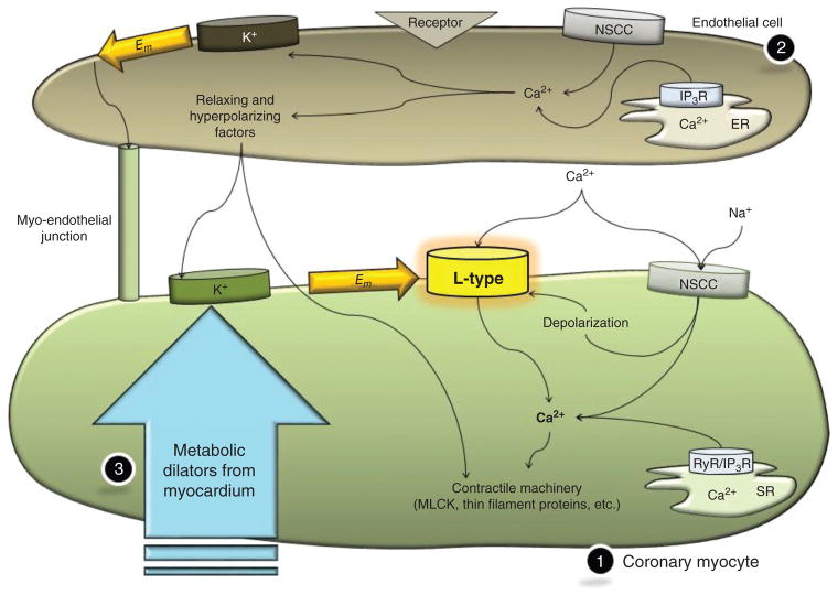 Figure 33