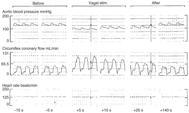 Figure 28