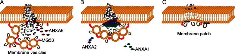 Figure 2.