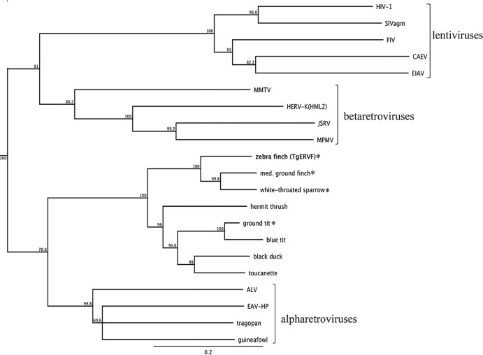 FIG 3