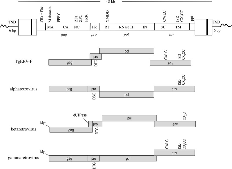 FIG 2