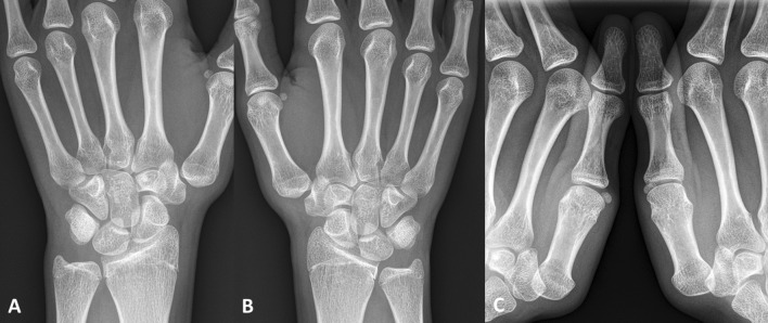 Fig. 4